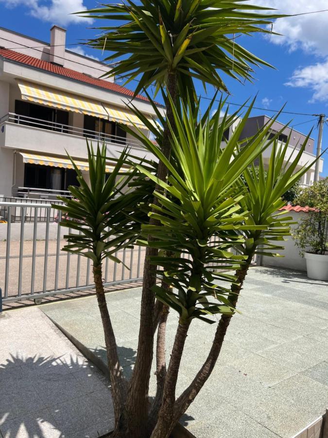 Apartments Lili Flora ザダル エクステリア 写真